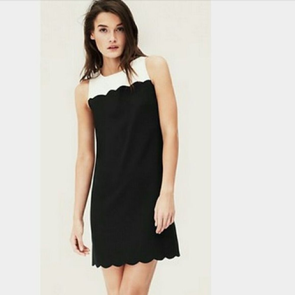 NWOT LOFT Black and Cream Scalloped Shift Dress
